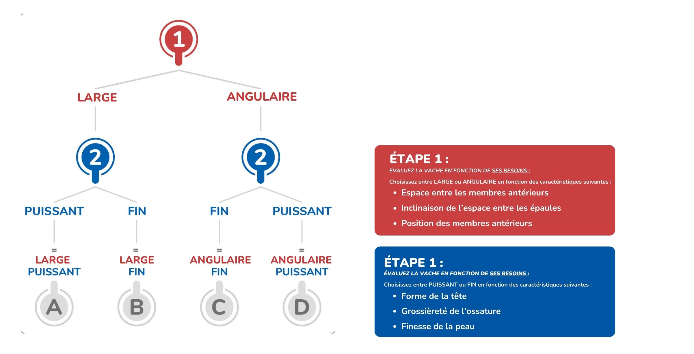 PFW - Website Pagina (1) PFW - Website Pagina (1)