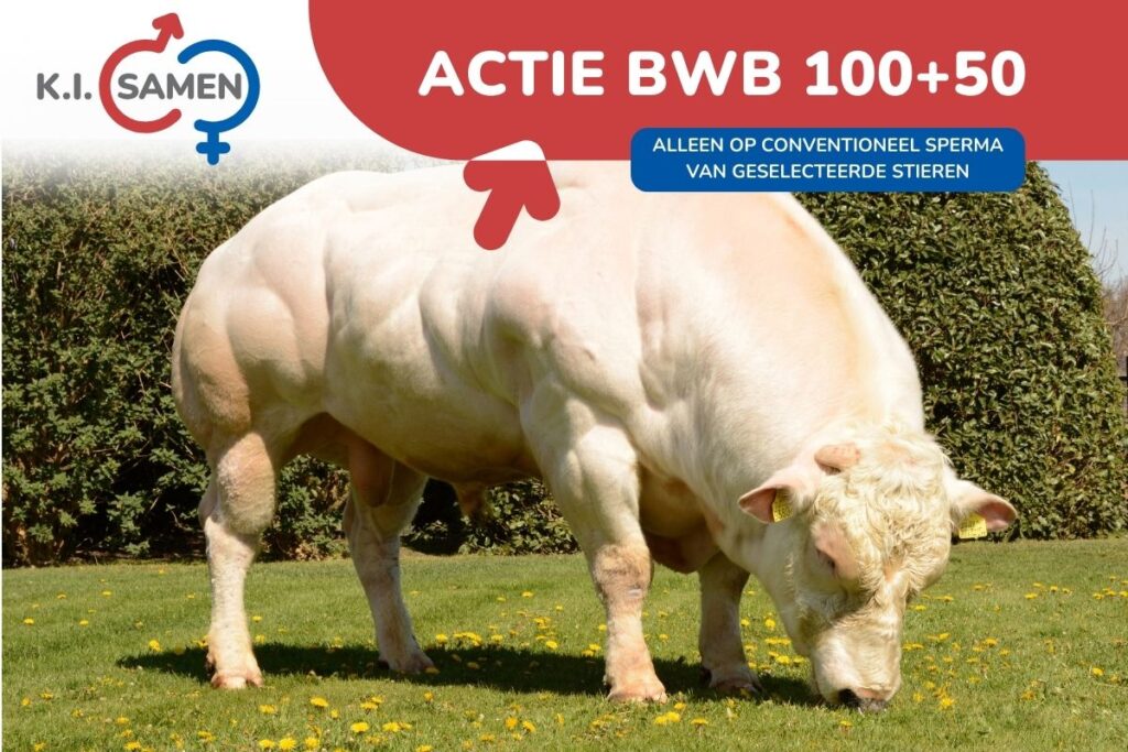 ACTIE BWB 100+50