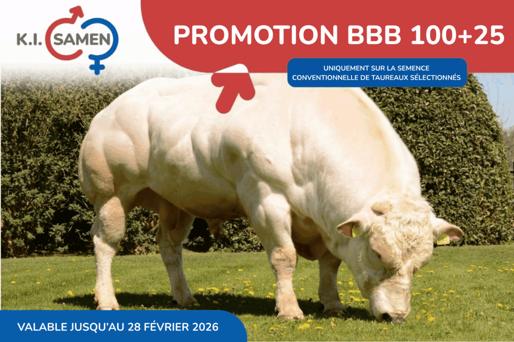Actie bwb 100 + 25 2026 FR